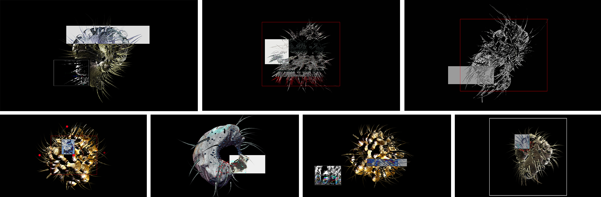 _NS Morphologies 2023 Series