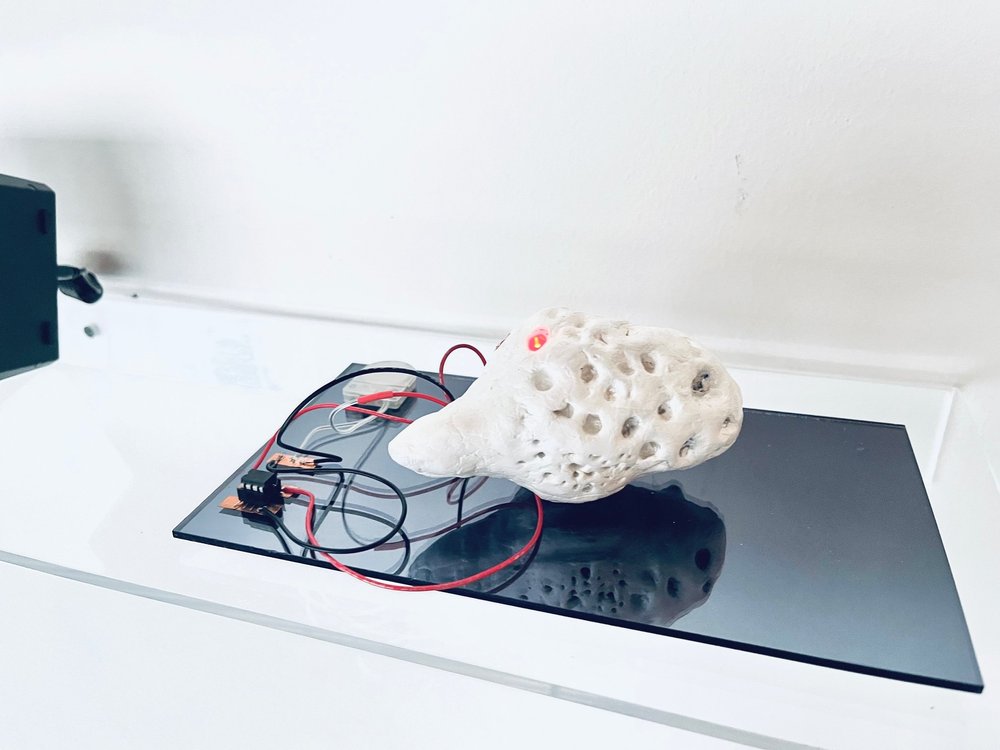 Bio-Hybrid Forms sculpture